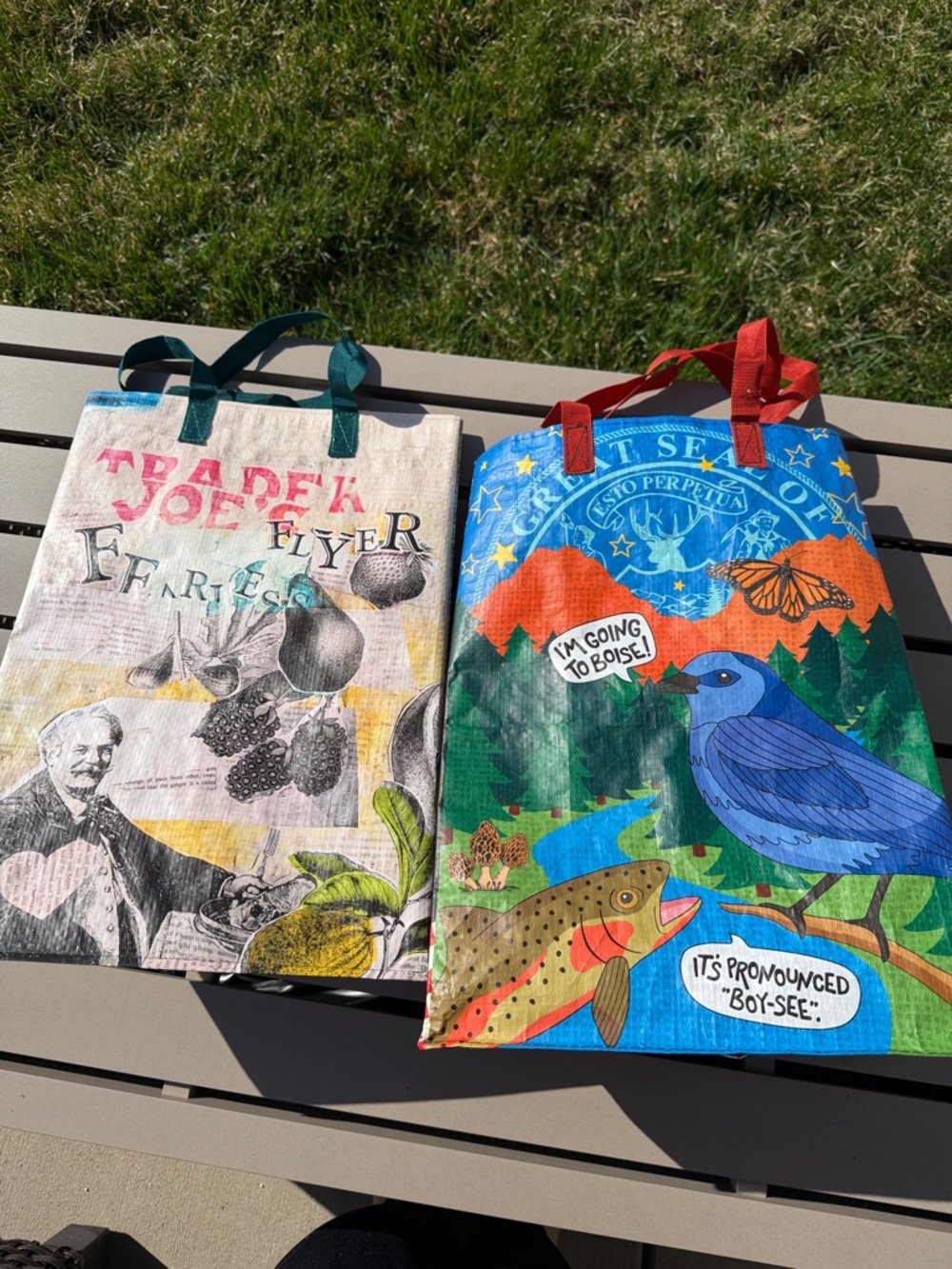 Trader Joe's Idaho State Reusable Bag - Boise "Boy-See" Tote & Fearless Flyer